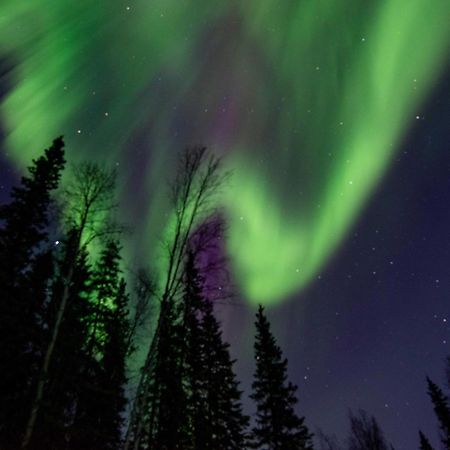 Riverside Log Cabin On-Site Aurora Viewing! North Pole Kültér fotó